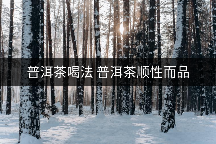 普洱茶喝法 普洱茶順性而品