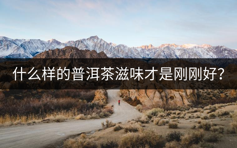 什么樣的普洱茶滋味才是剛剛好? 什么樣的普洱茶滋味才是剛剛好?