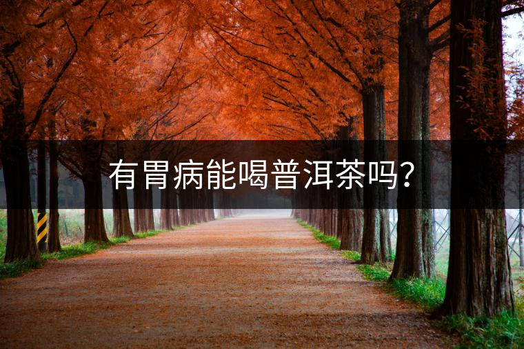 有胃病能喝普洱茶嗎? 有胃病能喝普洱茶嗎?