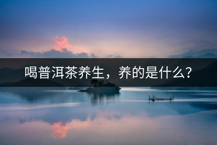 喝普洱茶養生,養的是什么? 喝普洱茶養生,養的是什么?