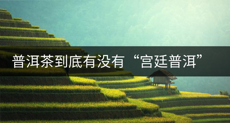 普洱茶到底有沒有“宮廷普洱”一說？它到底是什么？