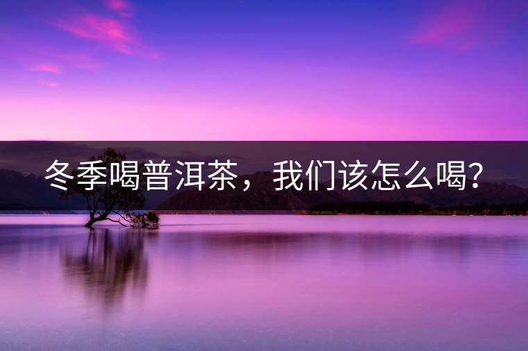 冬季喝普洱茶，我們該怎么喝？