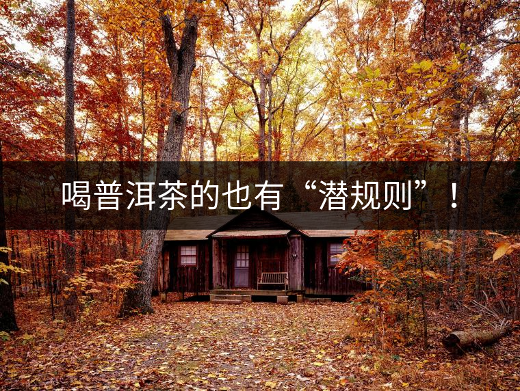 喝普洱茶的也有“潛規則”! 喝普洱茶的也有“潛規則”!