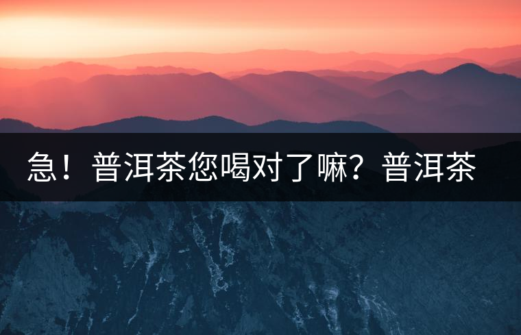 急！普洱茶您喝對(duì)了嘛？普洱茶的十八般武藝