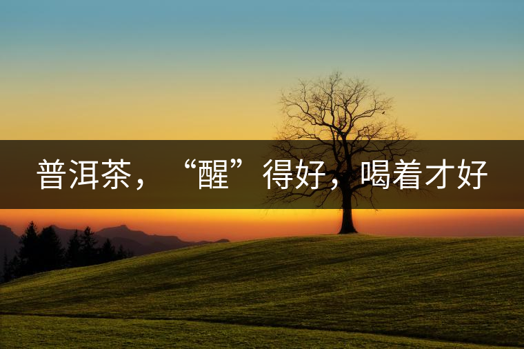 普洱茶，“醒”得好，喝著才好