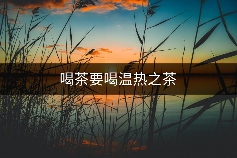 喝茶要喝溫熱之茶 喝茶要喝溫熱之茶