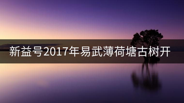 新益號(hào)2017年易武薄荷塘古樹(shù)開(kāi)湯