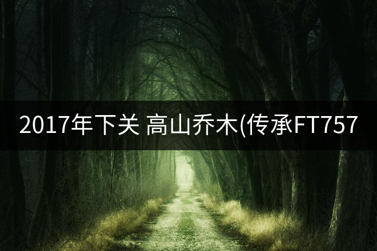 2017年下關 高山喬木(傳承FT7573)開湯