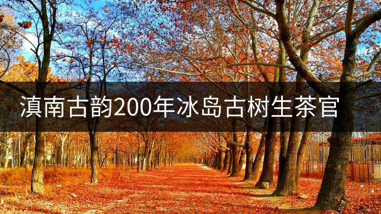 滇南古韻200年冰島古樹生茶官方評測 滇南古韻200年冰島古樹生茶官方評測