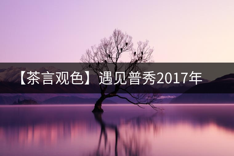 【茶言觀色】遇見普秀2017年甲級沱茶 【茶言觀色】遇見普秀2017年甲級沱茶