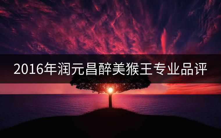 2016年潤元昌醉美猴王專業品評