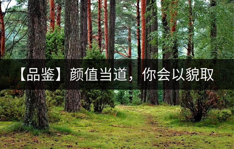 【品鑒】顏值當道，你會以貌取茶嗎？