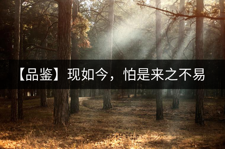 【品鑒】現如今,怕是來之不易的純濮 【品鑒】現如今,怕是來之不易的純濮