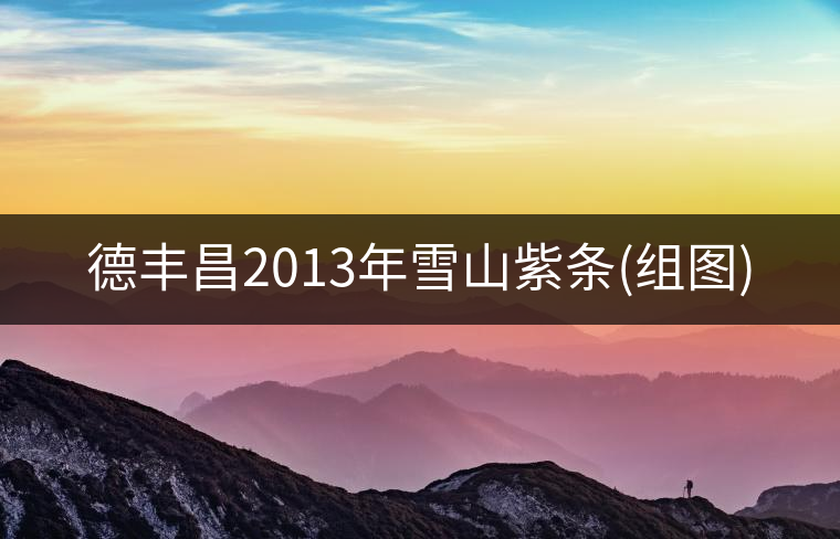 德豐昌2013年雪山紫條(組圖) 德豐昌2013年雪山紫條(組圖)