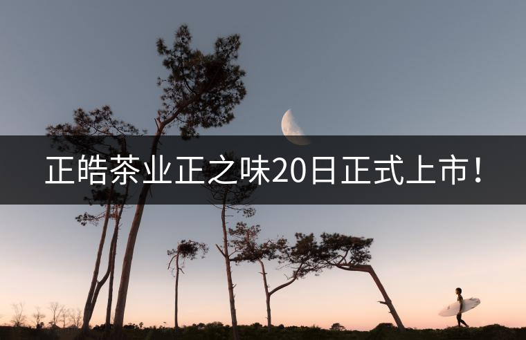 正皓茶業正之味20日正式上市！