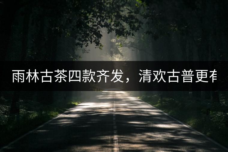 雨林古茶四款齊發，清歡古普更有味！