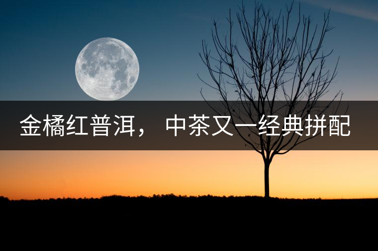 金橘紅普洱， 中茶又一經(jīng)典拼配力作，值得期待！