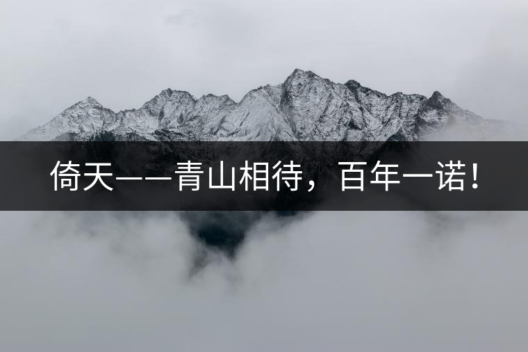 倚天——青山相待，百年一諾！