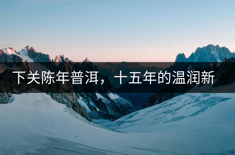 下關(guān)陳年普洱，十五年的溫潤新生