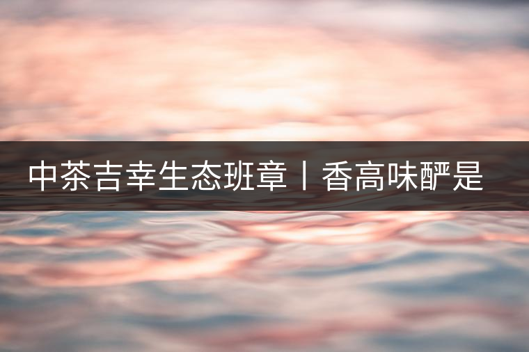中茶吉幸生態班章丨香高味釅是王者，且品且珍惜