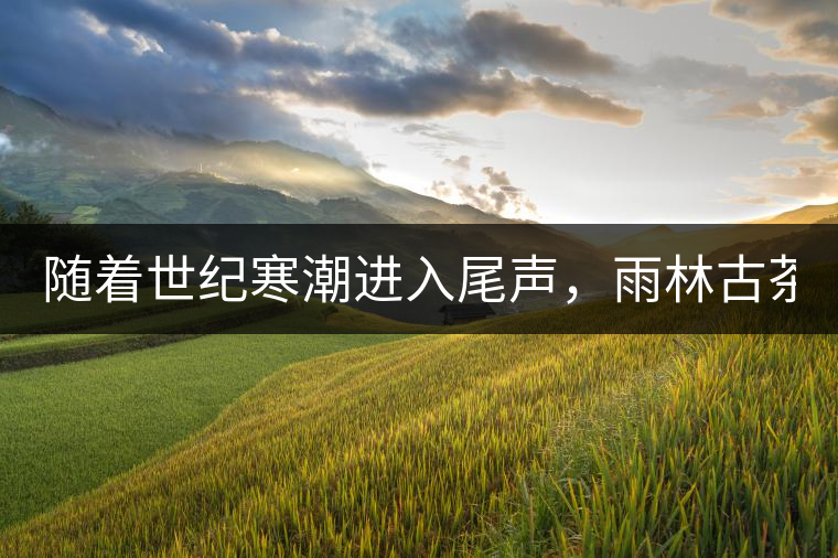 隨著世紀寒潮進入尾聲，雨林古茶坊