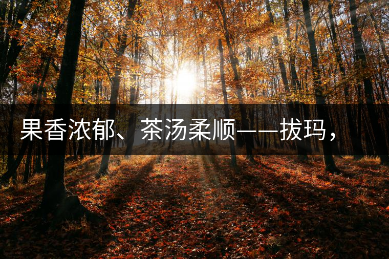 果香濃郁、茶湯柔順——拔瑪,南糯山最好的茶 果香濃郁、茶湯柔順——拔瑪,南糯山最好的茶