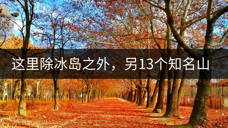 這里除冰島之外，另13個知名山頭普洱茶你知道嗎？