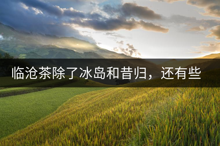 臨滄茶除了冰島和昔歸，還有些什么？