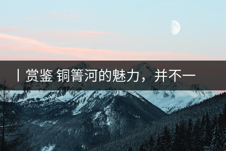 丨賞鑒 銅箐河的魅力，并不一定要古樹來體現