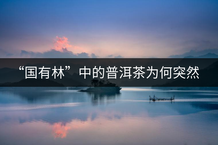 “國有林”中的普洱茶為何突然受追捧? “國有林”中的普洱茶為何突然受追捧?