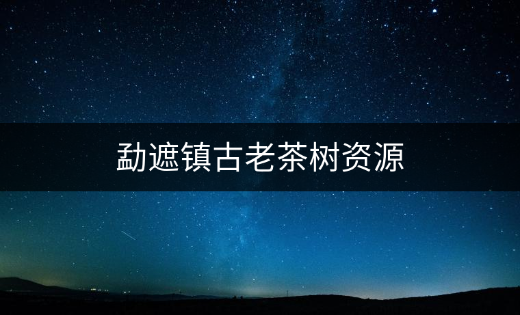勐遮鎮古老茶樹資源