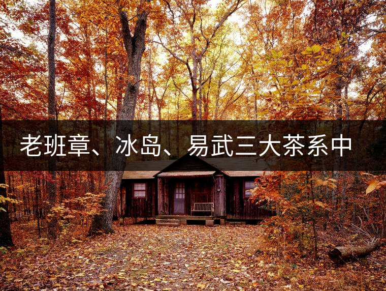 老班章、冰島、易武三大茶系中,“潛力股”為何是易武? 老班章、冰島、易武三大茶系中,“潛力股”為何是易武?