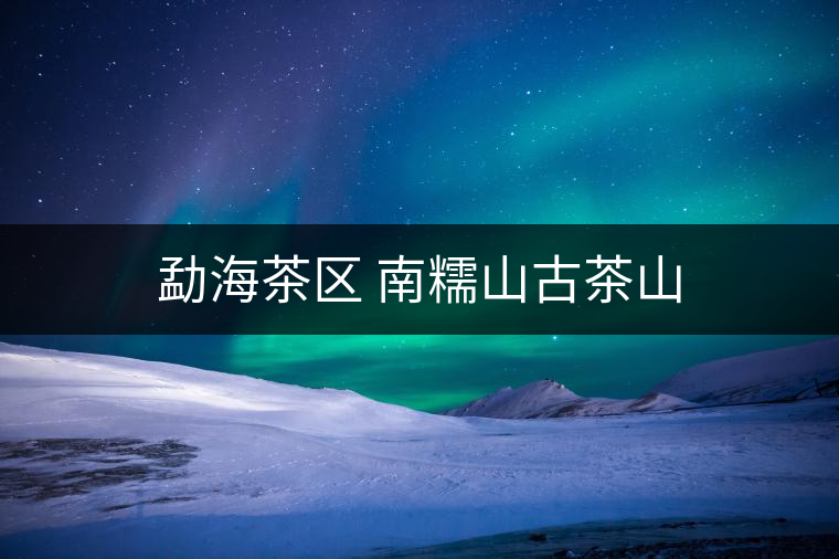 勐海茶區 南糯山古茶山