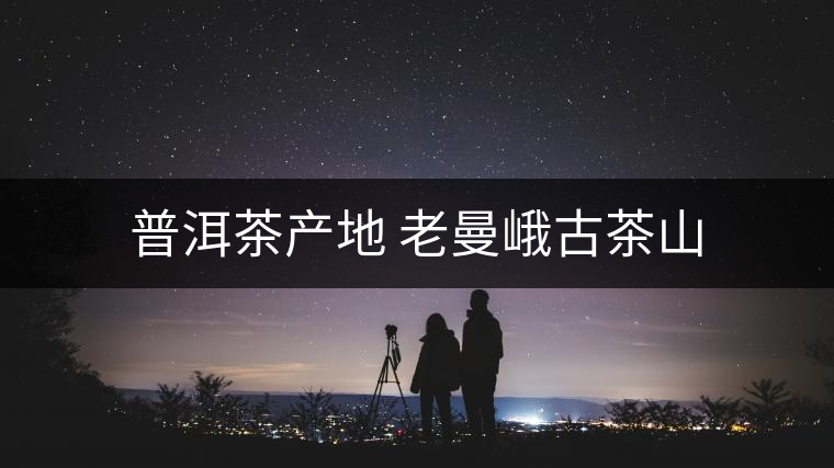 普洱茶產地 老曼峨古茶山