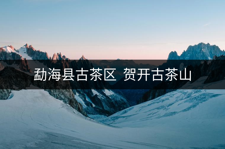 勐海縣古茶區  賀開古茶山