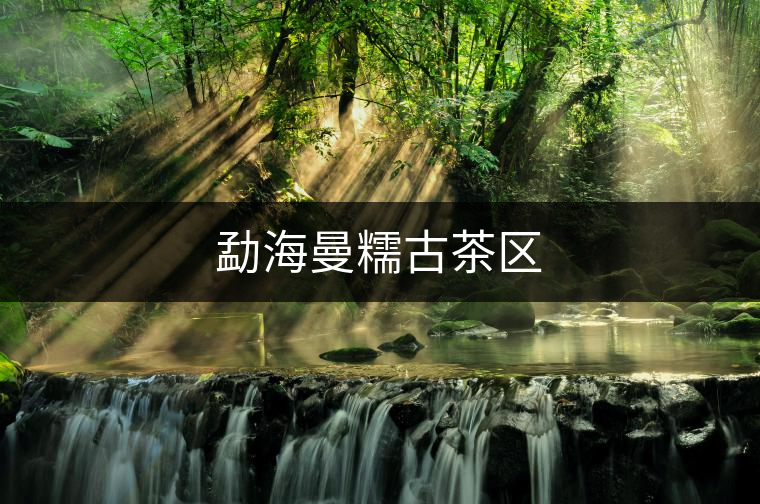 勐海曼糯古茶區(qū)　