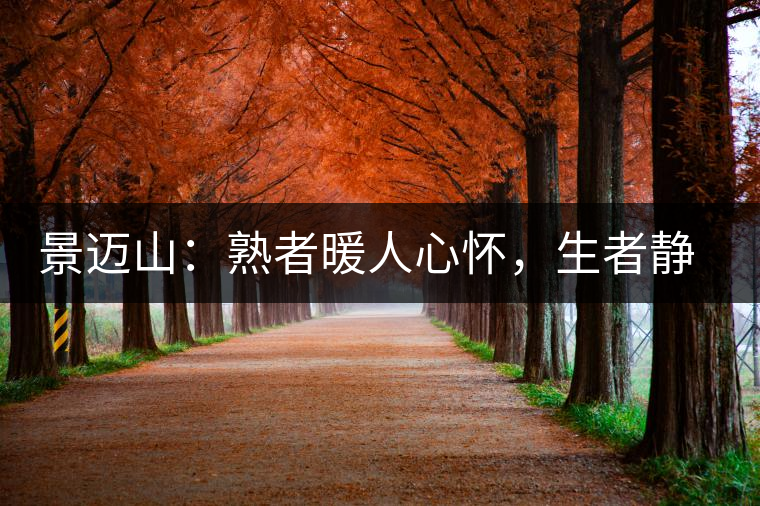 景邁山：熟者暖人心懷，生者靜品歲月