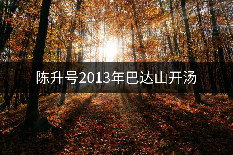 陳升號2013年巴達山開湯 陳升號2013年巴達山開湯