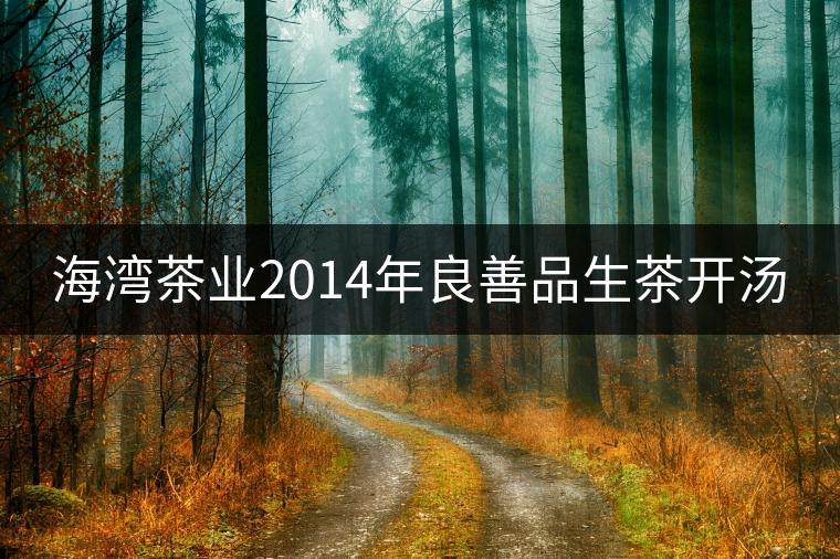 海灣茶業2014年良善品生茶開湯 海灣茶業2014年良善品生茶開湯