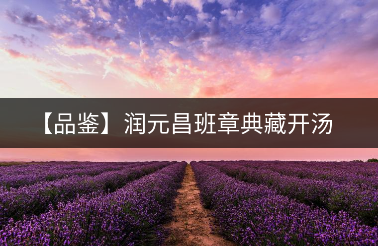 【品鑒】潤元昌班章典藏開湯