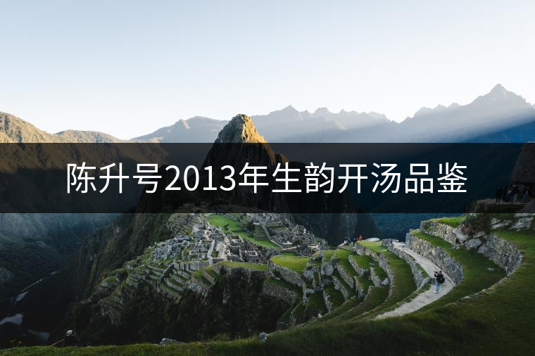 陳升號2013年生韻開湯品鑒 陳升號2013年生韻開湯品鑒