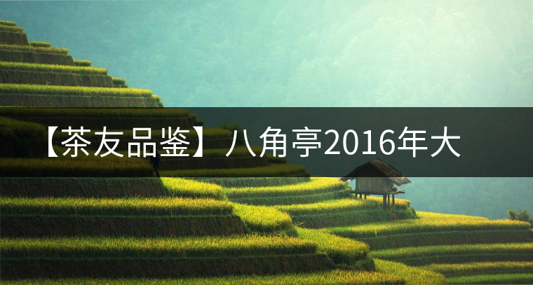 【茶友品鑒】八角亭2016年大典景邁開湯 【茶友品鑒】八角亭2016年大典景邁開湯
