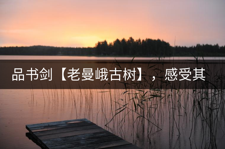 品書劍【老曼峨古樹】,感受其霸道苦韻 品書劍【老曼峨古樹】,感受其霸道苦韻