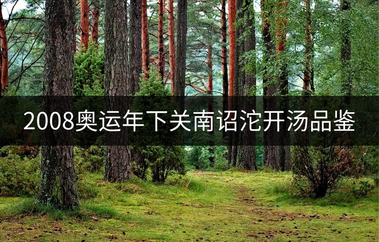 2008奧運(yùn)年下關(guān)南詔沱開湯品鑒