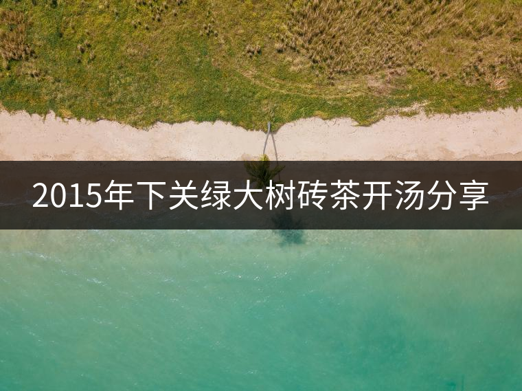 2015年下關綠大樹磚茶開湯分享 2015年下關綠大樹磚茶開湯分享