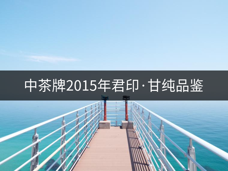 中茶牌2015年君印·甘純品鑒 中茶牌2015年君印·甘純品鑒
