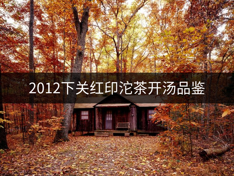 2012下關(guān)紅印沱茶開湯品鑒 2012下關(guān)紅印沱茶開湯品鑒