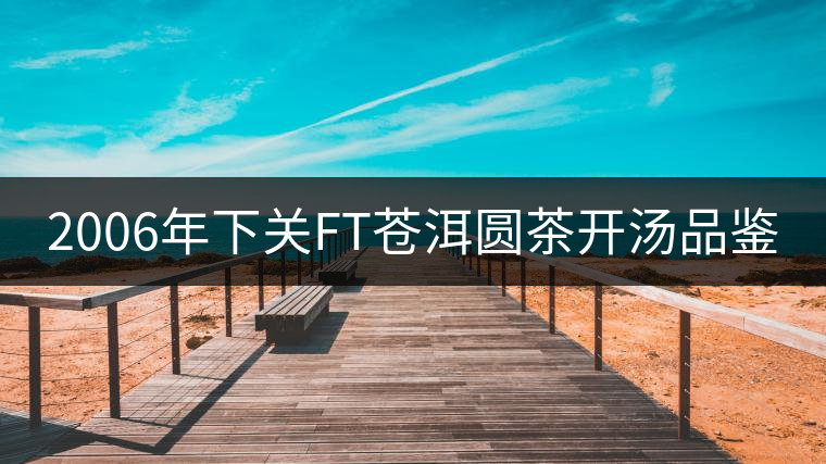 2006年下關FT蒼洱圓茶開湯品鑒
