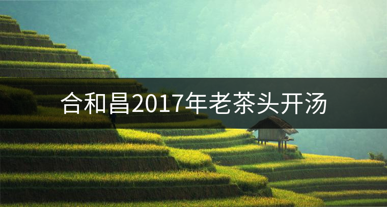 合和昌2017年老茶頭開(kāi)湯