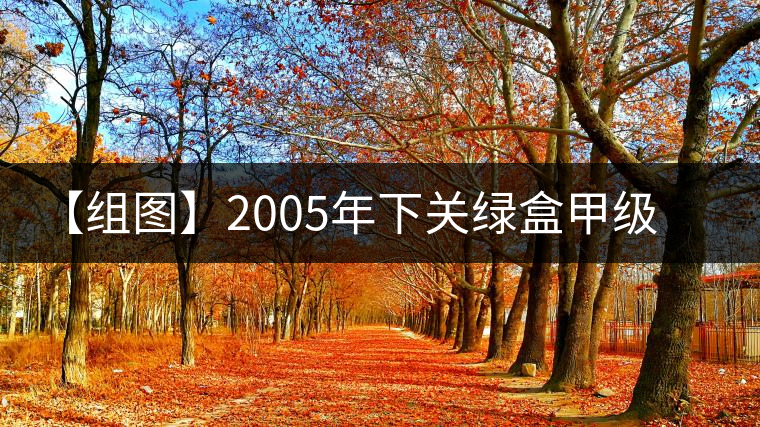 【組圖】2005年下關綠盒甲級沱開湯 【組圖】2005年下關綠盒甲級沱開湯